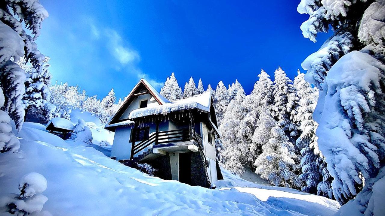 Mountain Cottage Lubomierz Lubomierz  Exterior foto